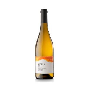 RECAREDO ALOERS (VI BLANC)